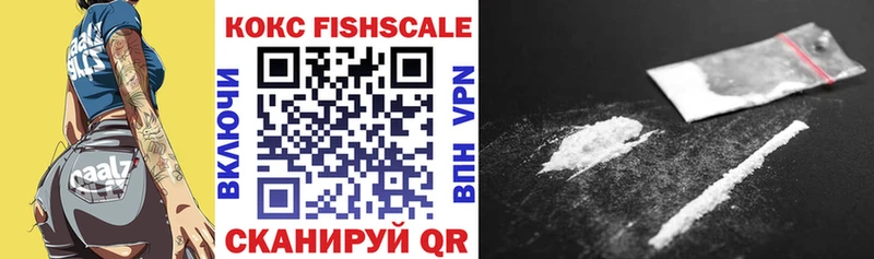 где можно купить   Чадан  КОКАИН FishScale 