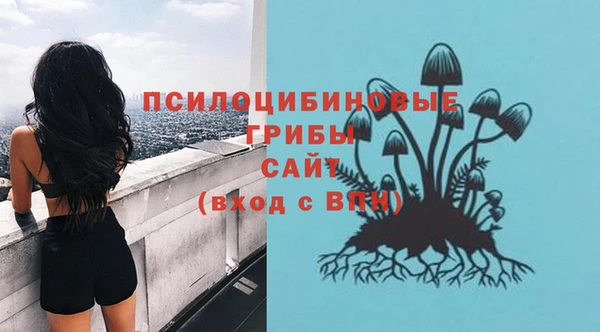 ПСИЛОЦИБИНОВЫЕ ГРИБЫ Алзамай